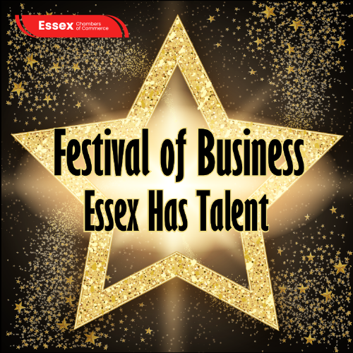 Festival of Business 2024 logo